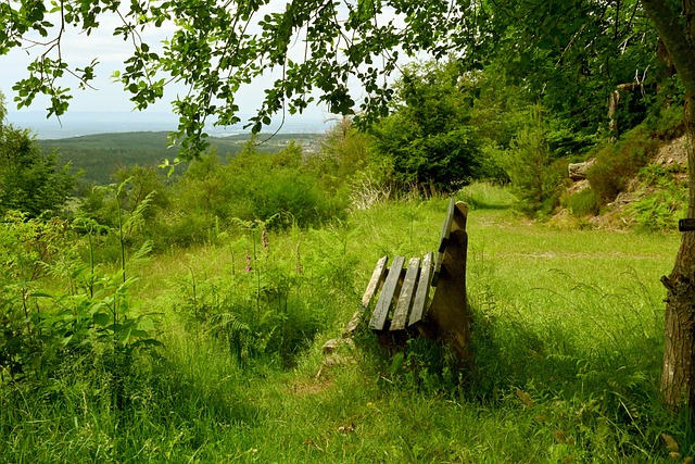 梅西本场数据：1粒进球，2次射正，1关键传球，2次成功过人.