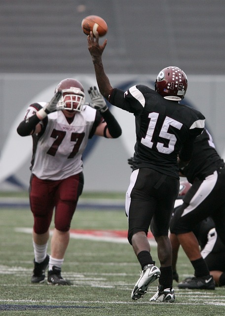 也为猛龙提 也为猛龙提